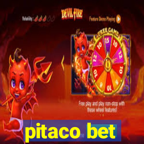 pitaco bet